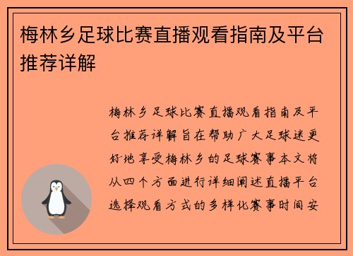 梅林乡足球比赛直播观看指南及平台推荐详解